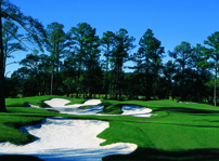 Crescent Point Golf Club - Hilton Head