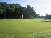 Golden Bear Golf Club - Hilton Head