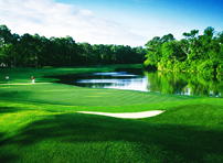 Palmetto Hall Plantation Golf Course - Hilton Head