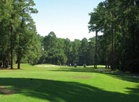 Rose Hill Golf Club - Hilton Head