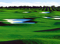 Crooked Cat Golf Course - Orlando