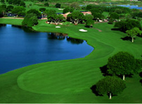 MetroWest Golf Course - Orlando