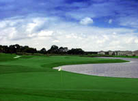 Stoneybrook West Golf Course - Orlando